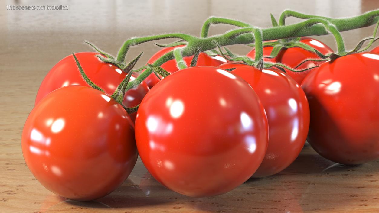 Fresh Cherry Tomatoes on the Vine Fur 3D