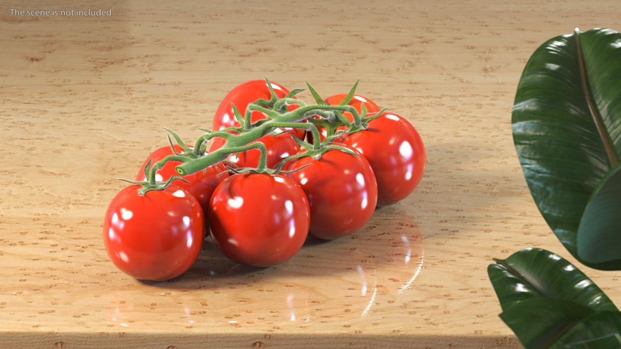 Fresh Cherry Tomatoes on the Vine Fur 3D