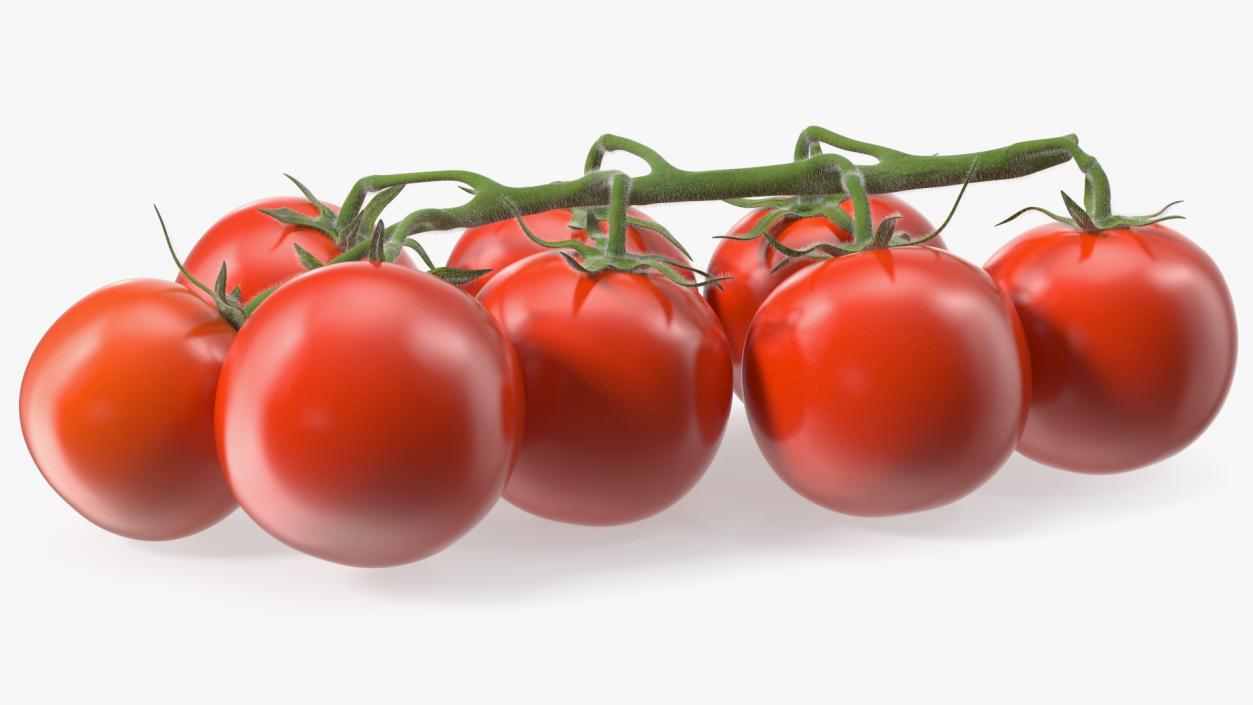 Fresh Cherry Tomatoes on the Vine Fur 3D