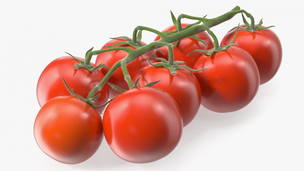 Fresh Cherry Tomatoes on the Vine Fur 3D