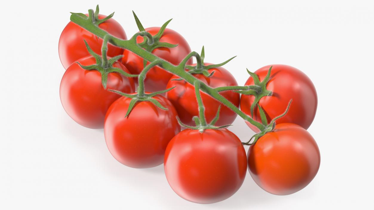 Fresh Cherry Tomatoes on the Vine Fur 3D