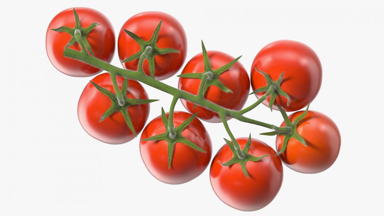 Fresh Cherry Tomatoes on the Vine Fur 3D