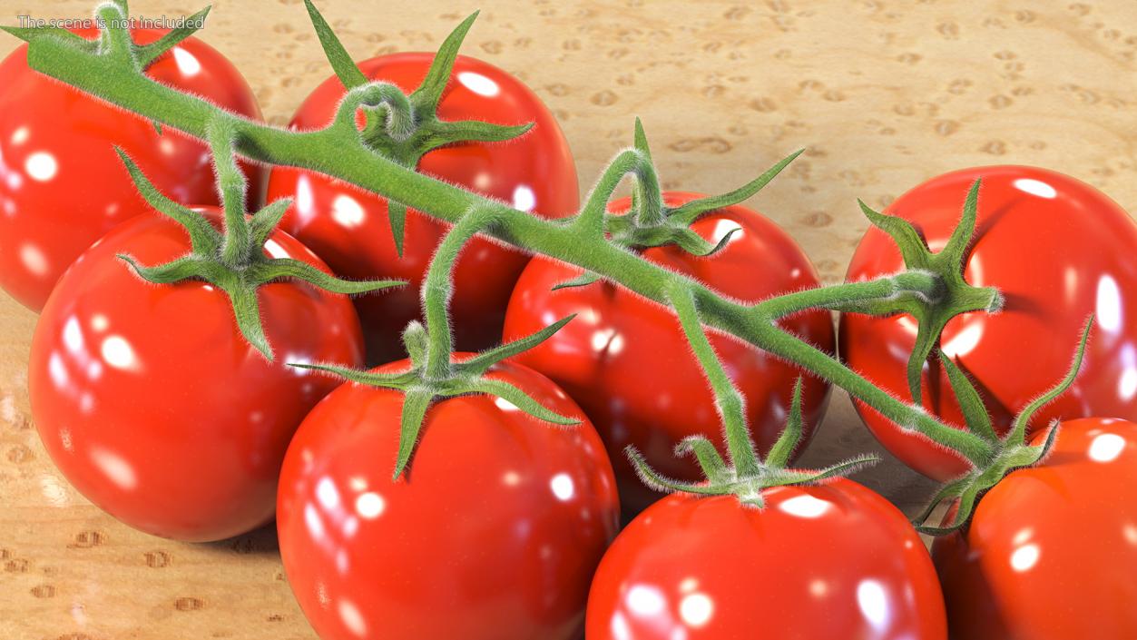 Fresh Cherry Tomatoes on the Vine Fur 3D