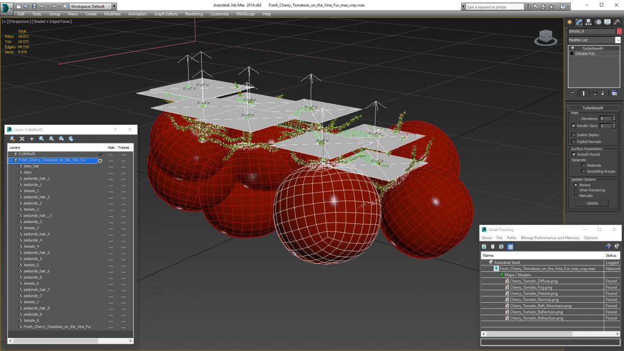 Fresh Cherry Tomatoes on the Vine Fur 3D