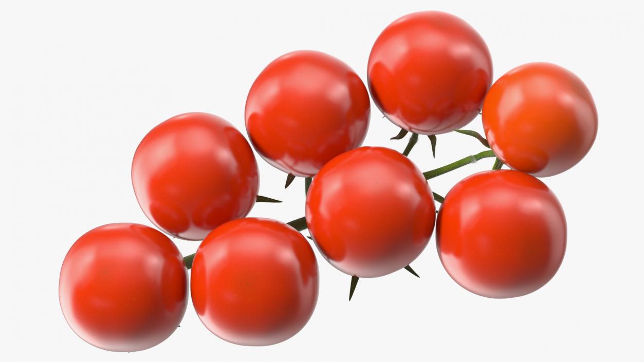 Fresh Cherry Tomatoes on the Vine Fur 3D