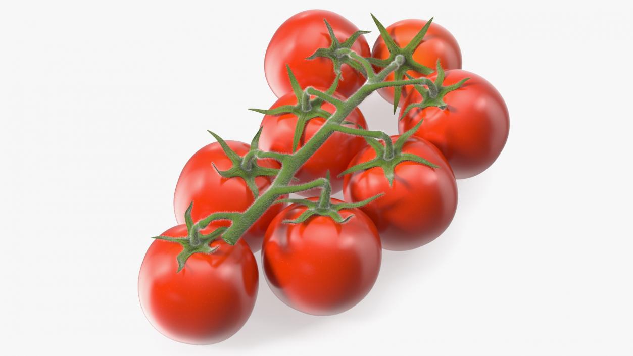 Fresh Cherry Tomatoes on the Vine Fur 3D