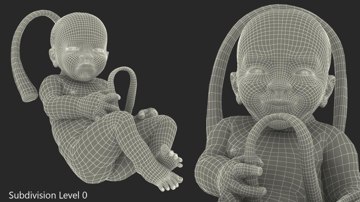 3D Baby Boy at 38 Weeks Fur Rigged