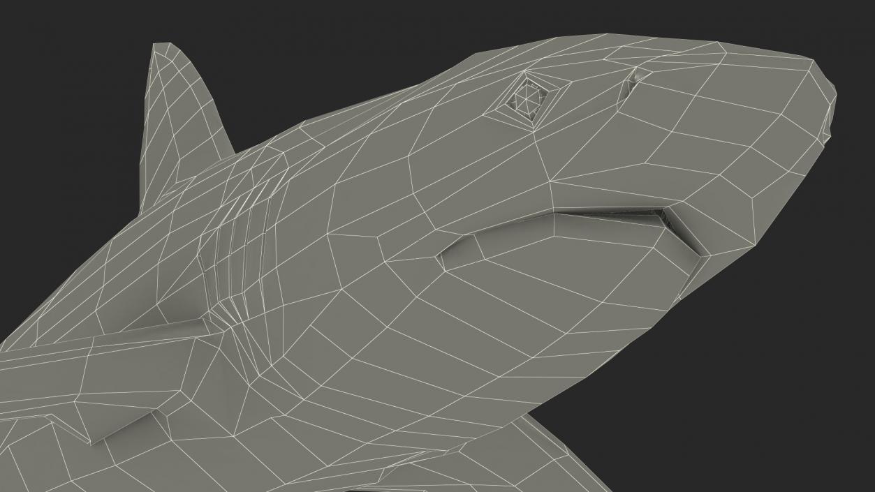 3D Realistic Dusky Shark Rigged model