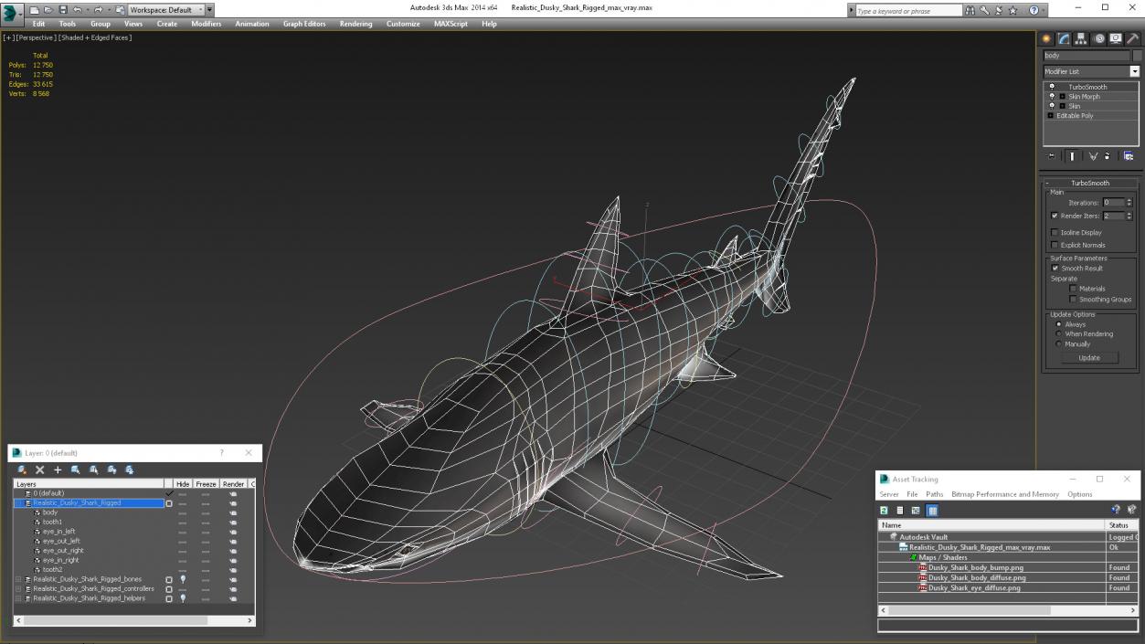 3D Realistic Dusky Shark Rigged model