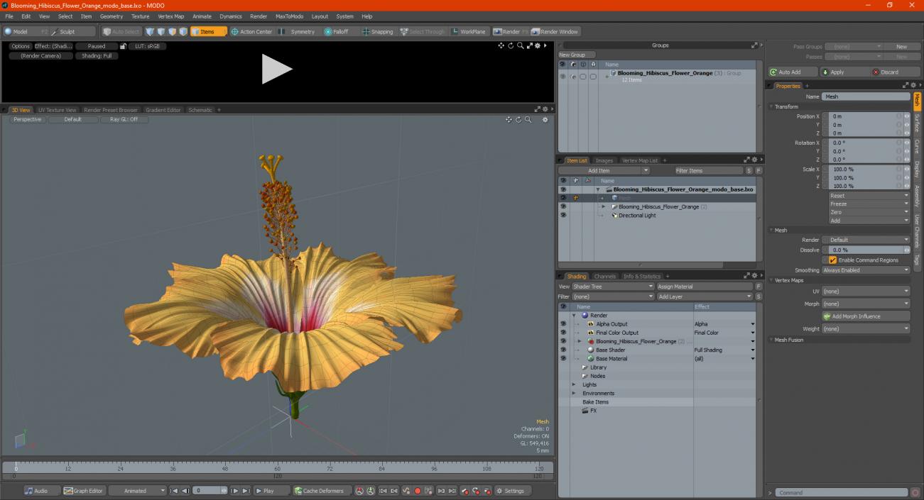 3D Blooming Hibiscus Flower Orange