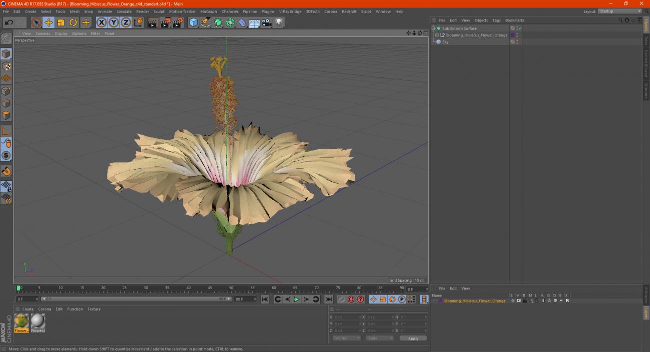 3D Blooming Hibiscus Flower Orange