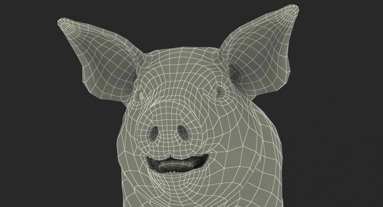 3D Pig Piglet Landrace Rigged