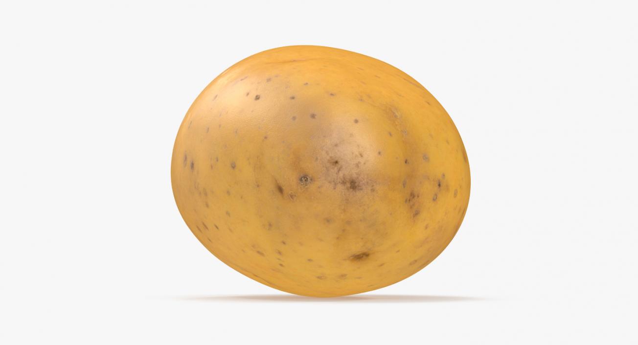 Unpeeled Raw Potato 3D model