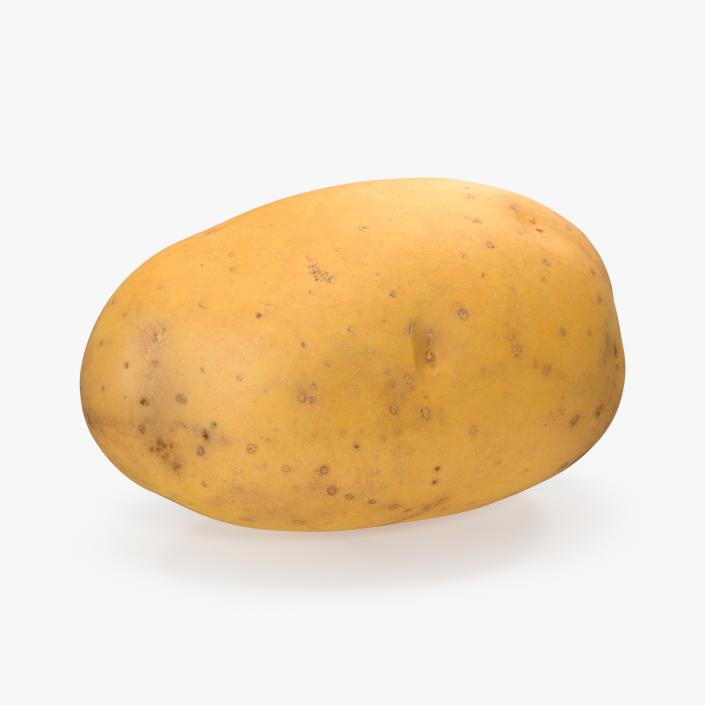 Unpeeled Raw Potato 3D model