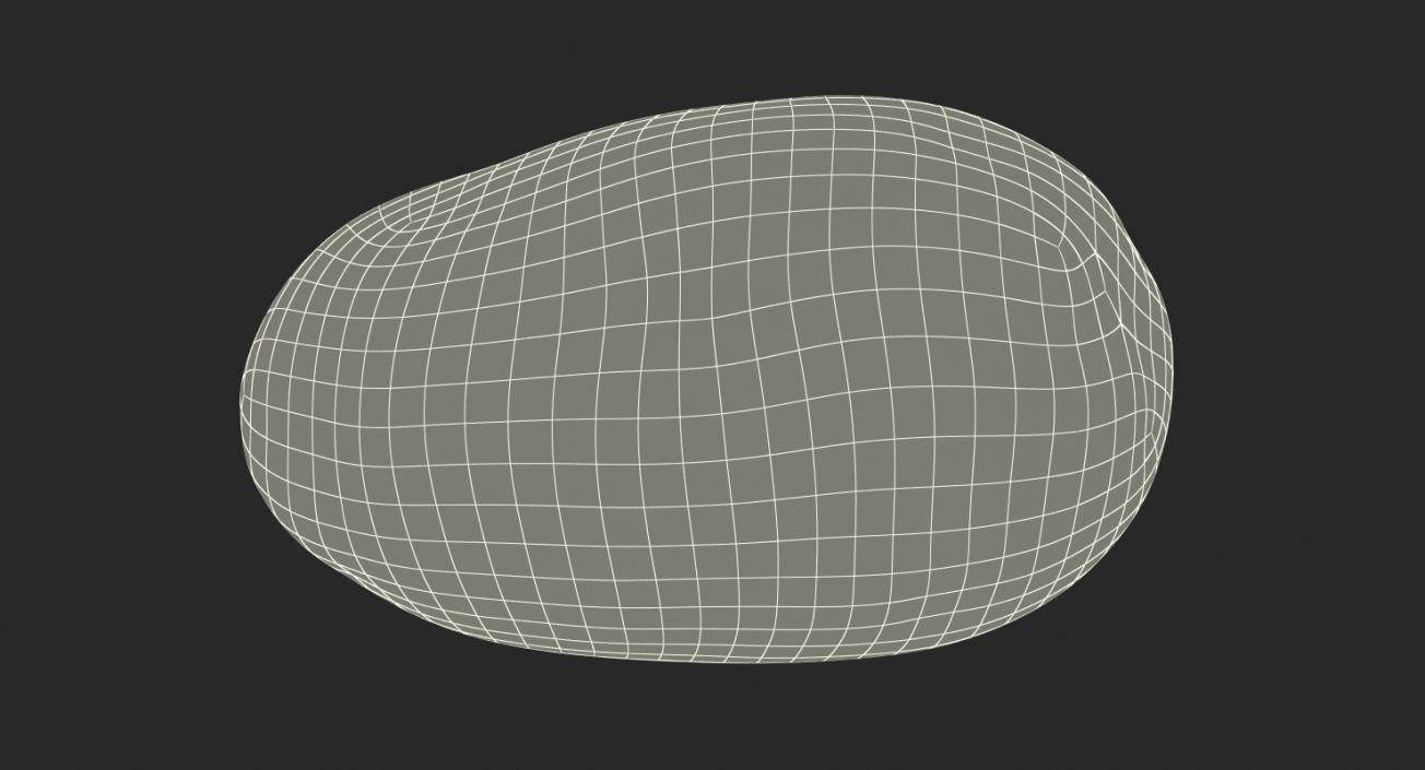 Unpeeled Raw Potato 3D model