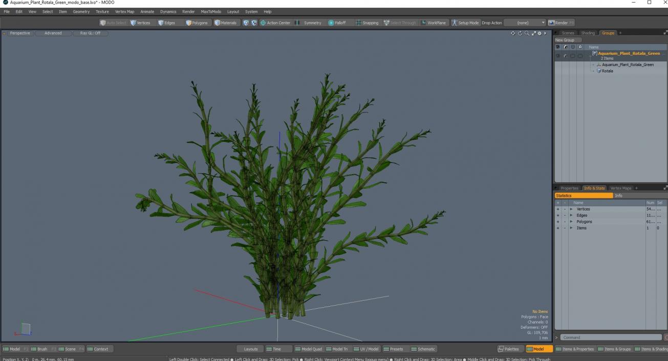 Aquarium Plant Rotala Green 3D