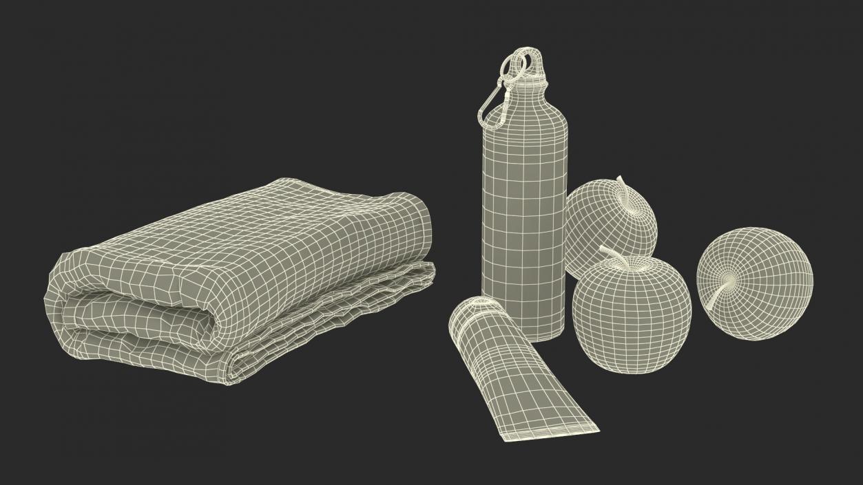 Beach Bag 3D model