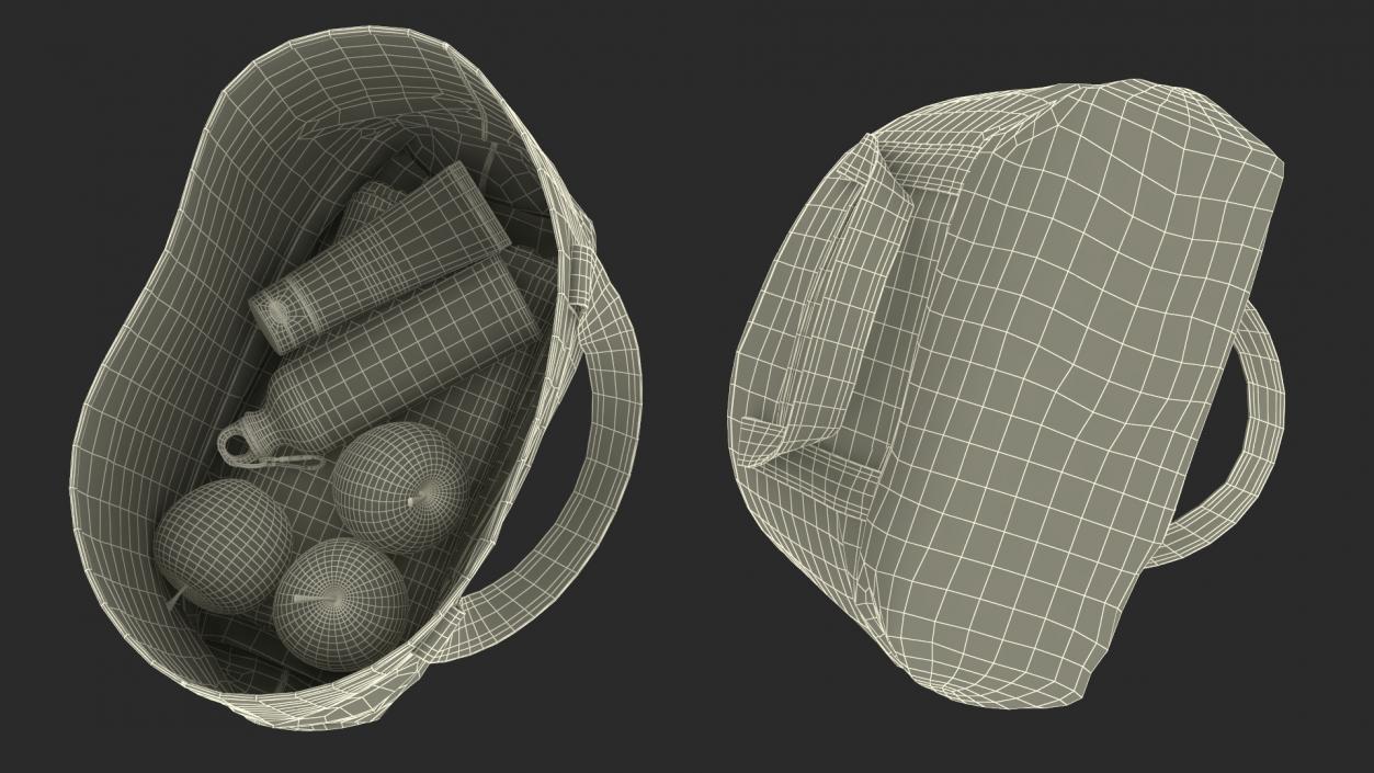 Beach Bag 3D model