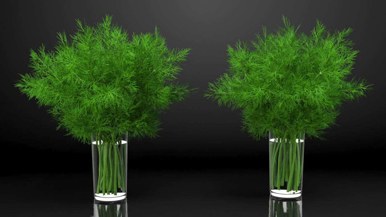 3D Dill Water Glass