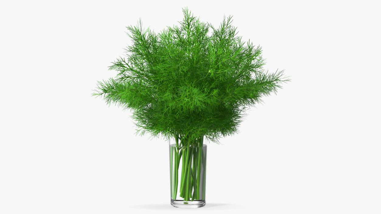 3D Dill Water Glass