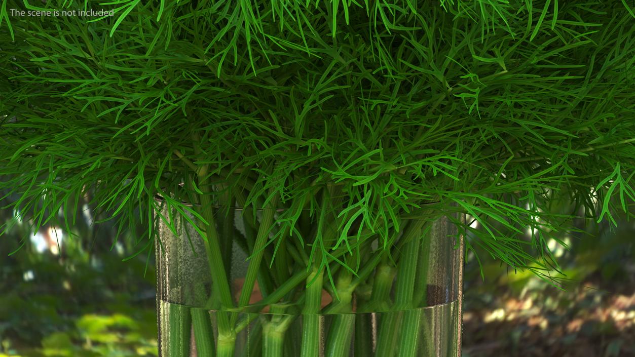 3D Dill Water Glass