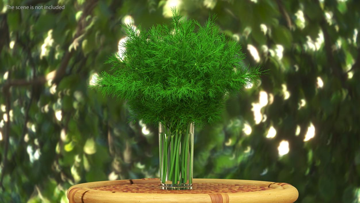 3D Dill Water Glass