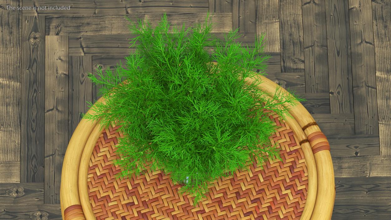 3D Dill Water Glass