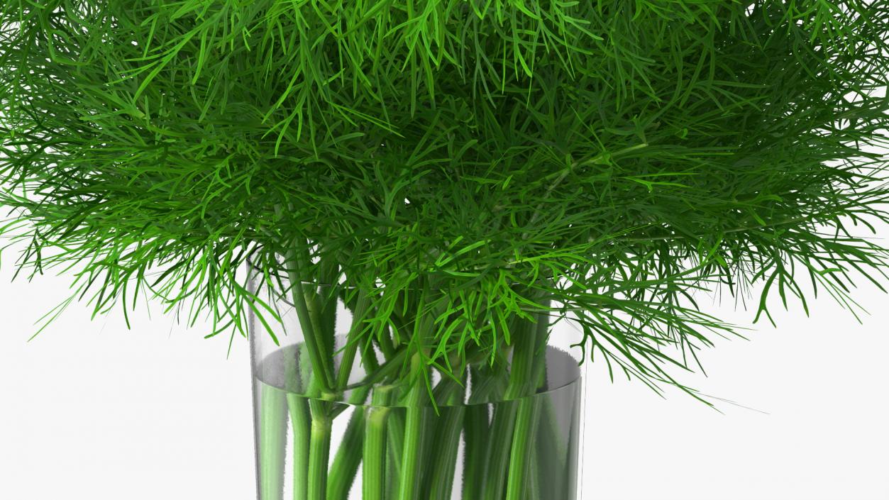 3D Dill Water Glass