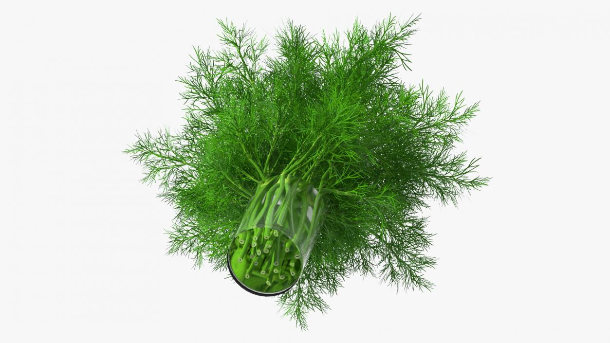 3D Dill Water Glass