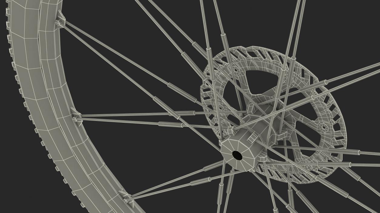 Front Wheel eBike 3D