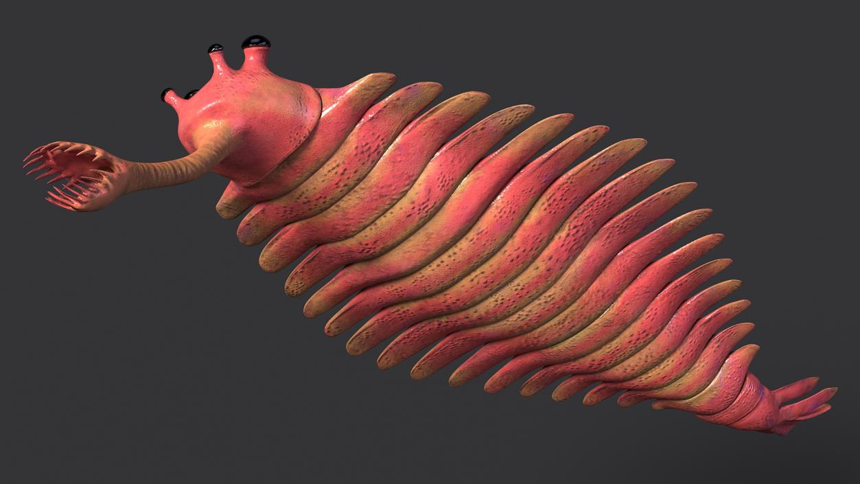 3D Pink Opabinia model