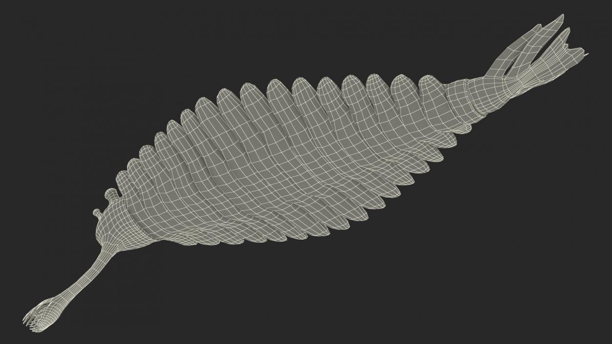 3D Pink Opabinia model