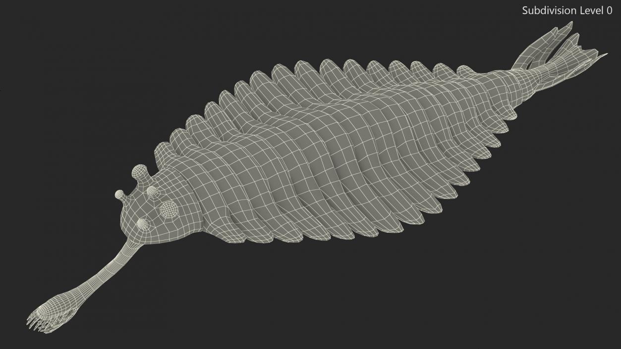 3D Pink Opabinia model