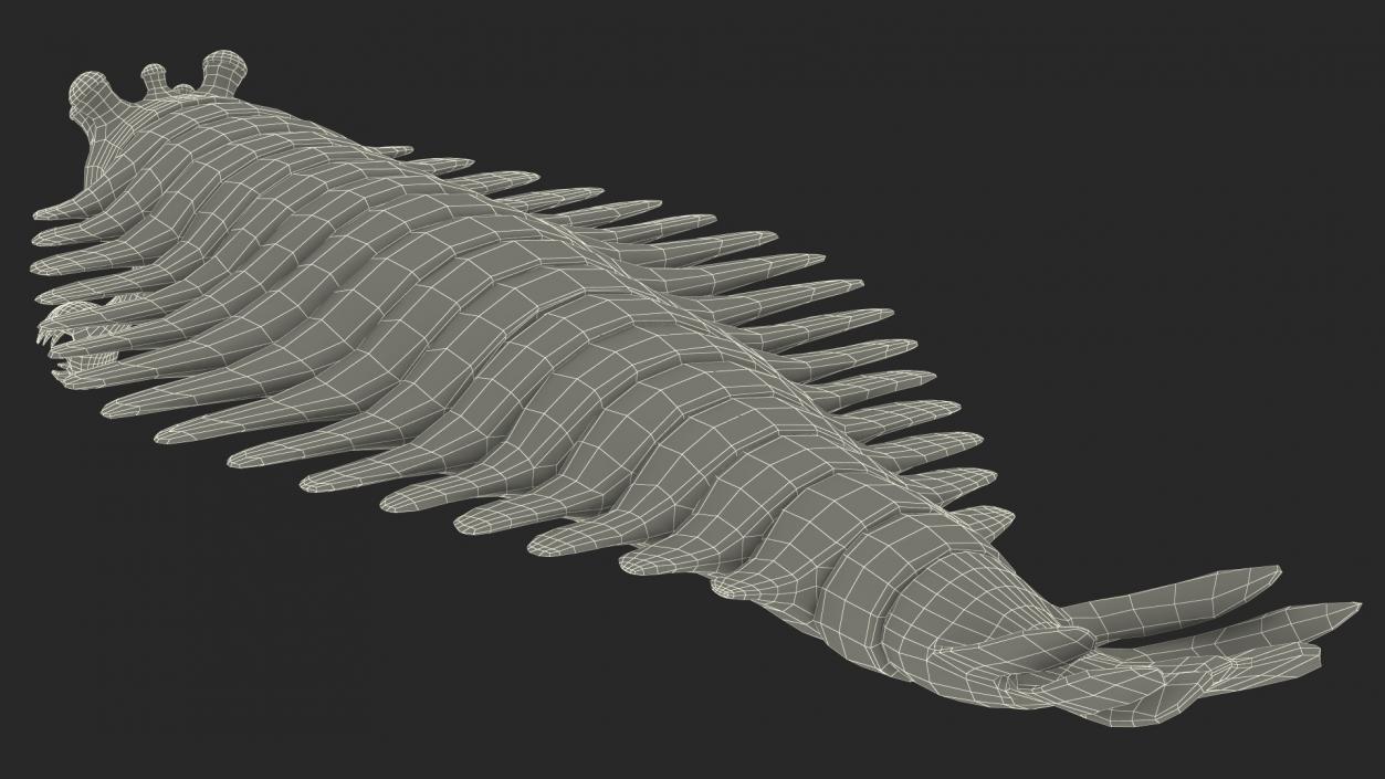 3D Pink Opabinia model