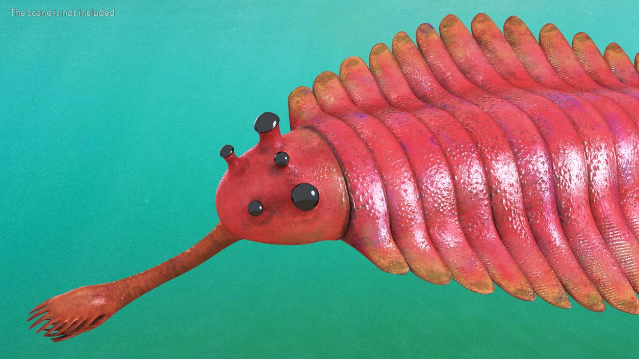 3D Pink Opabinia model