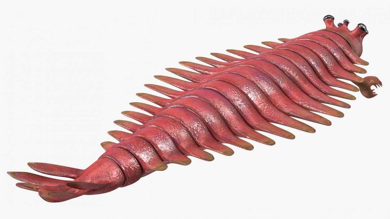 3D Pink Opabinia model