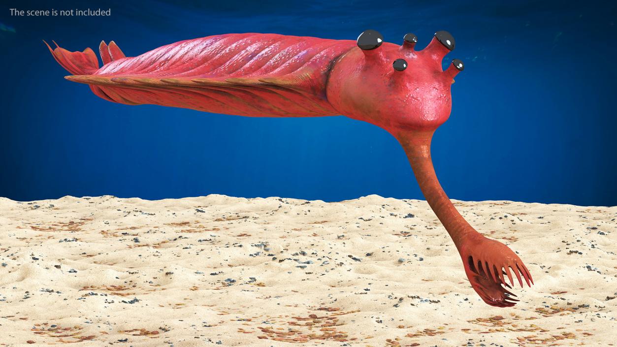 3D Pink Opabinia model