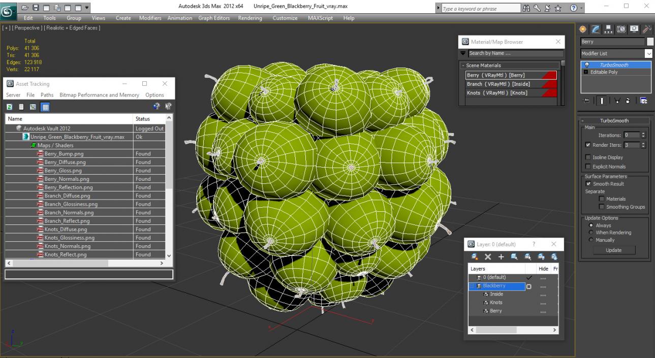 Unripe Green Blackberry Fruit 3D model