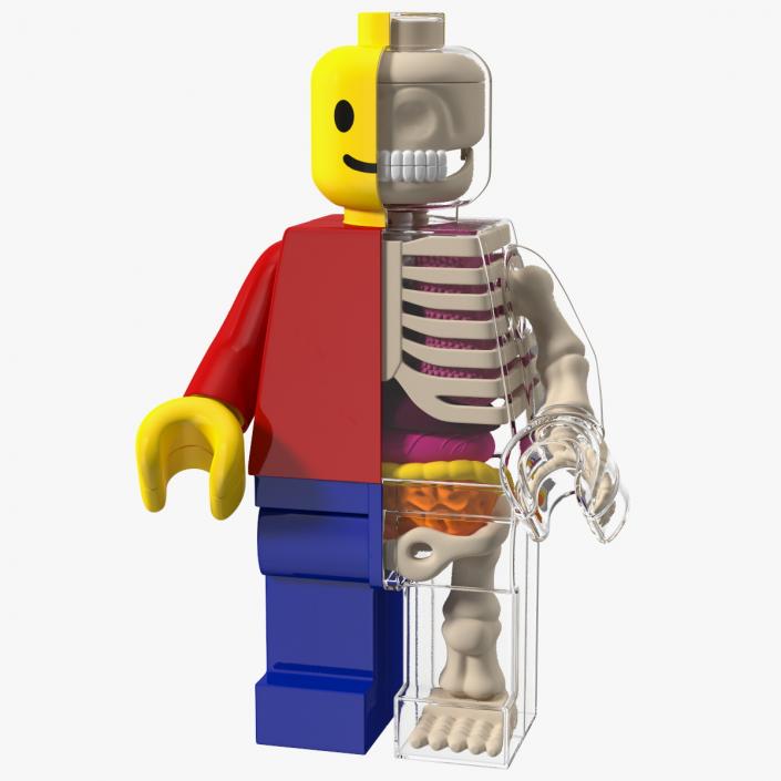 3D model Anatomical LEGO Man Glass Half