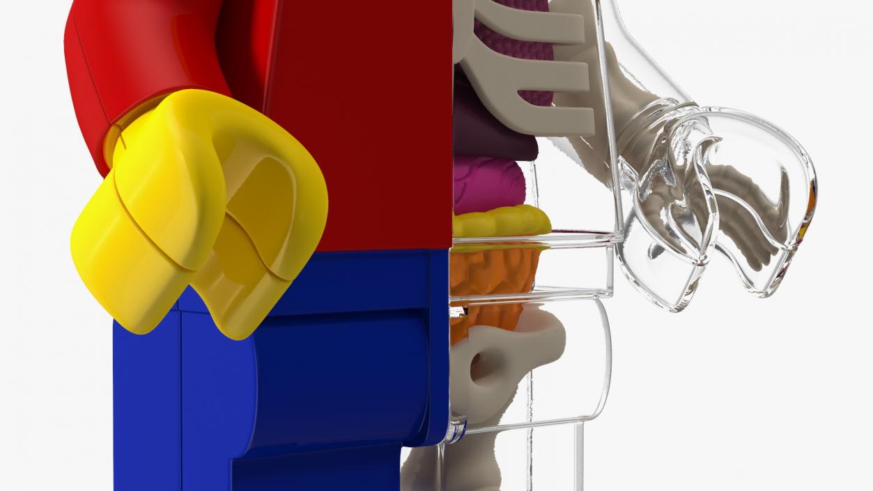 3D model Anatomical LEGO Man Glass Half