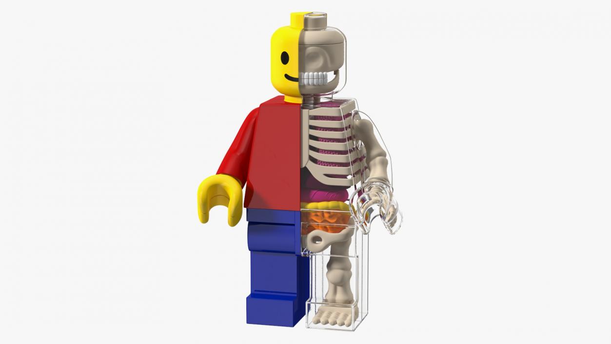 3D model Anatomical LEGO Man Glass Half