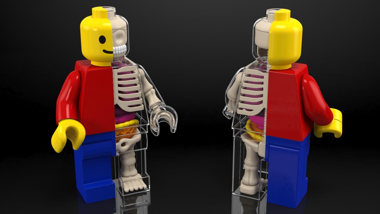 3D model Anatomical LEGO Man Glass Half