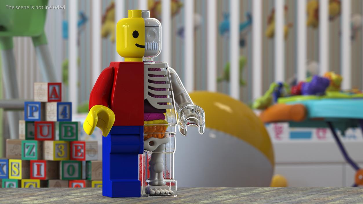 3D model Anatomical LEGO Man Glass Half