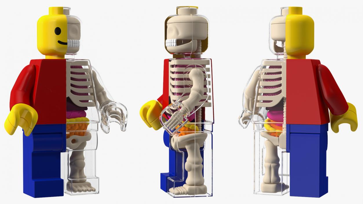 3D model Anatomical LEGO Man Glass Half