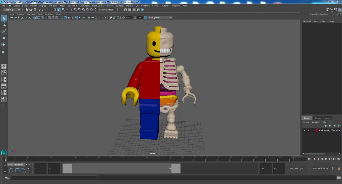 3D model Anatomical LEGO Man Glass Half