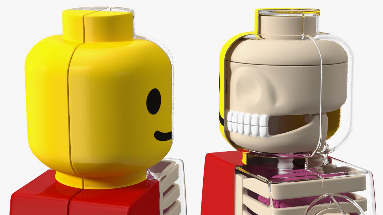 3D model Anatomical LEGO Man Glass Half