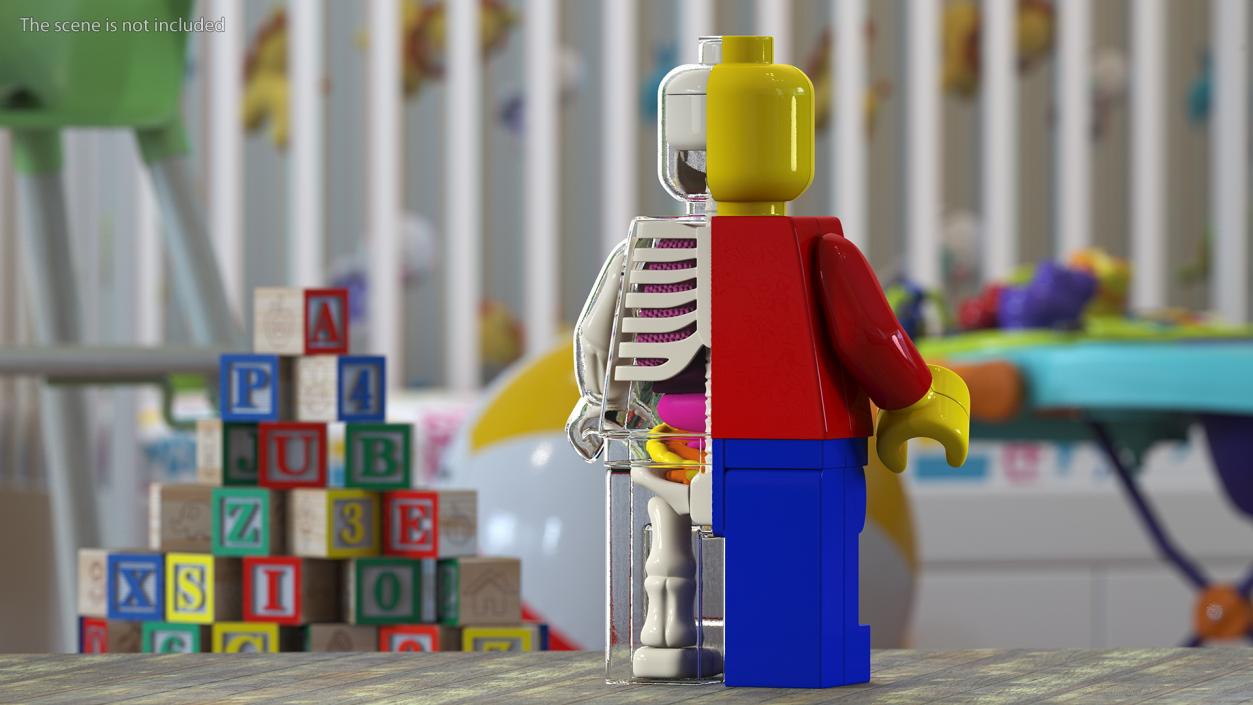 3D model Anatomical LEGO Man Glass Half