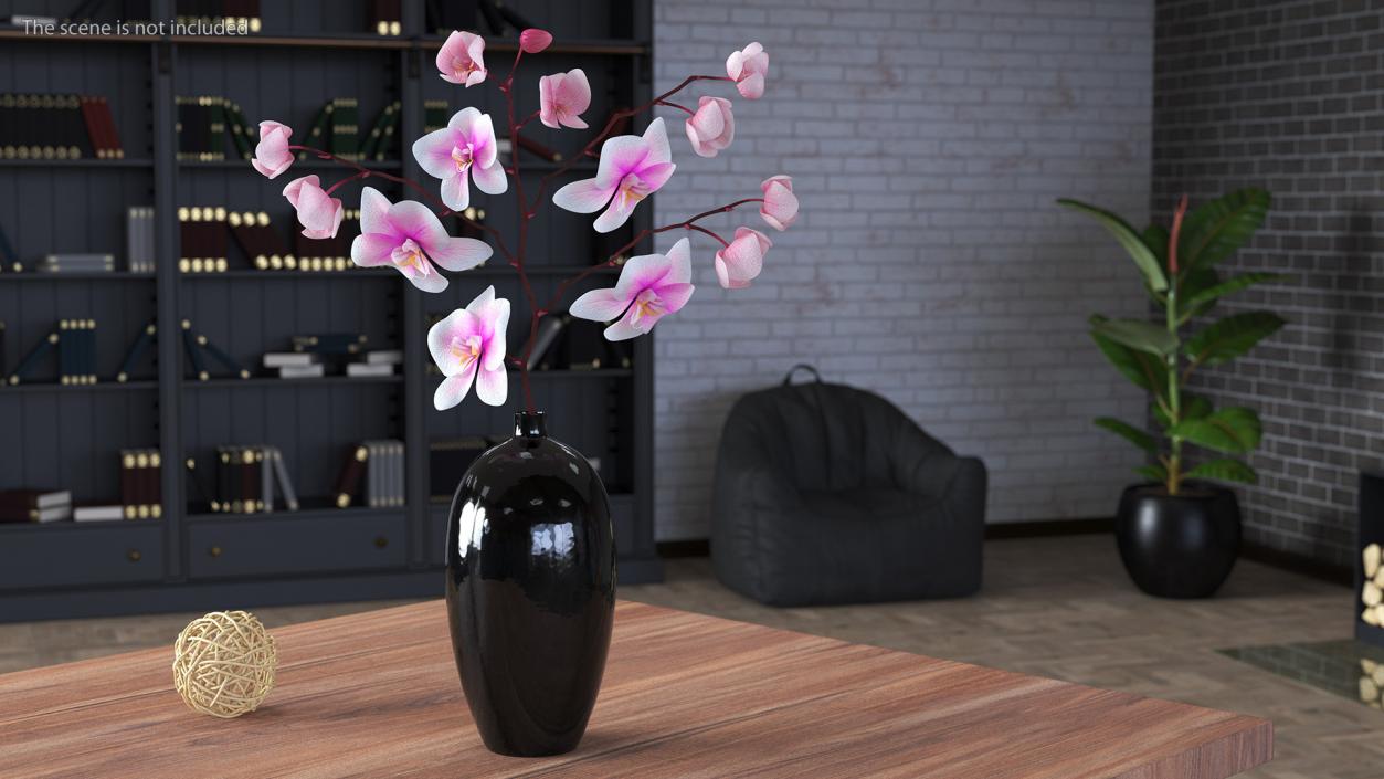 Orchid Collection 2 3D model