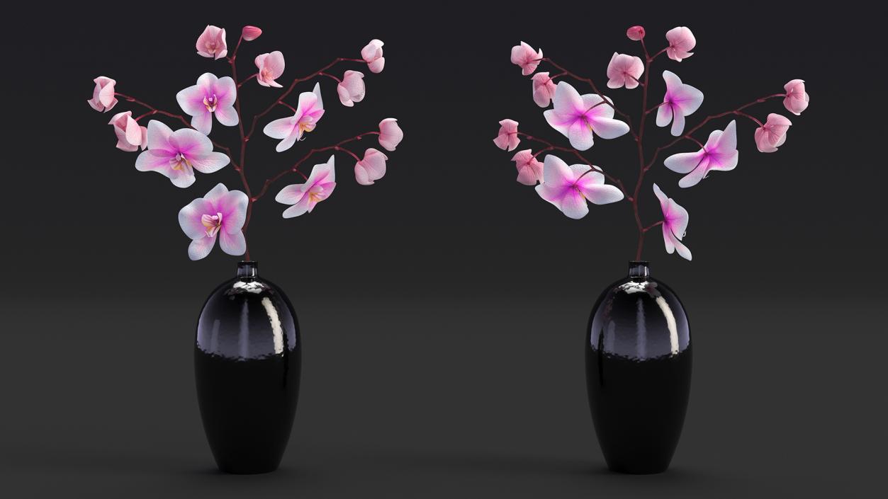 Orchid Collection 2 3D model