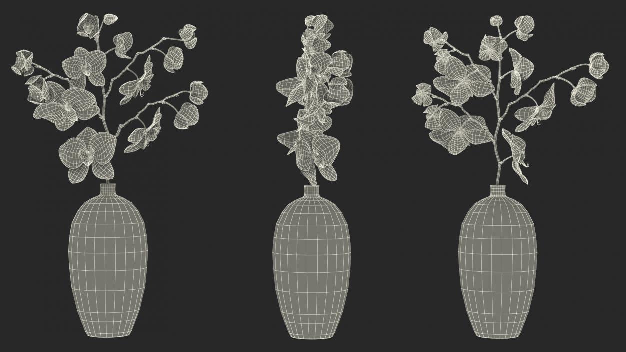 Orchid Collection 2 3D model